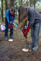 Bushcraft Zone photo