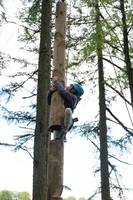 Heights Zone 1 photo