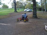 Pedal Cars photo