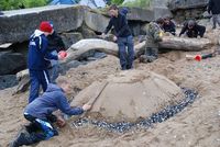 Sand Castle Competition photo