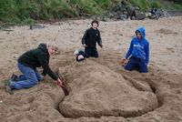 Sand Castle Competition photo