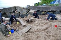 Sand Castle Competition photo