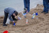 Sand Castle Competition photo