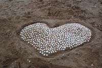 Sand Castle Competition photo