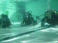Scuba Diving photo