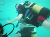 Scuba Diving photo