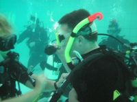 Scuba Diving photo
