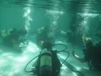 Scuba Diving photo