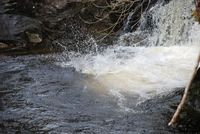 Gorge Walking photo