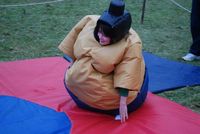 Sumo & Boxing photo