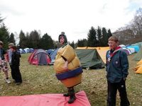 Sumo & Boxing photo