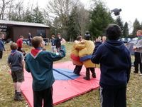 Sumo & Boxing photo