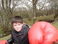 Sumo & Boxing photo