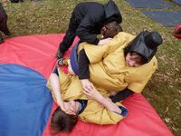 Sumo & Boxing photo