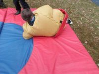 Sumo & Boxing photo