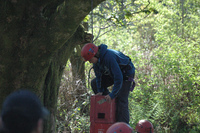 Crate Climbing photo