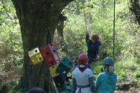 Crate Climbing photo
